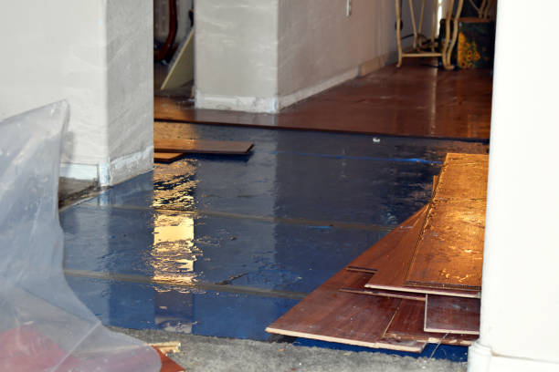 Professional Burst Pipe Cleanup technician working in Marshall, AR