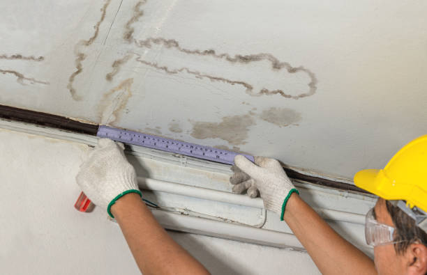Reliable Burst Pipe Cleanup contractor in Marshall, AR by Water Damage Irwin